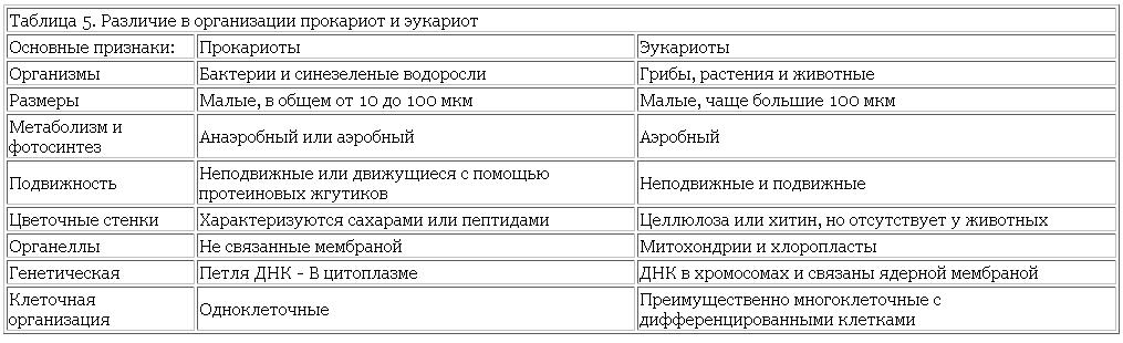 table5 бернал возникновение жизни fb2