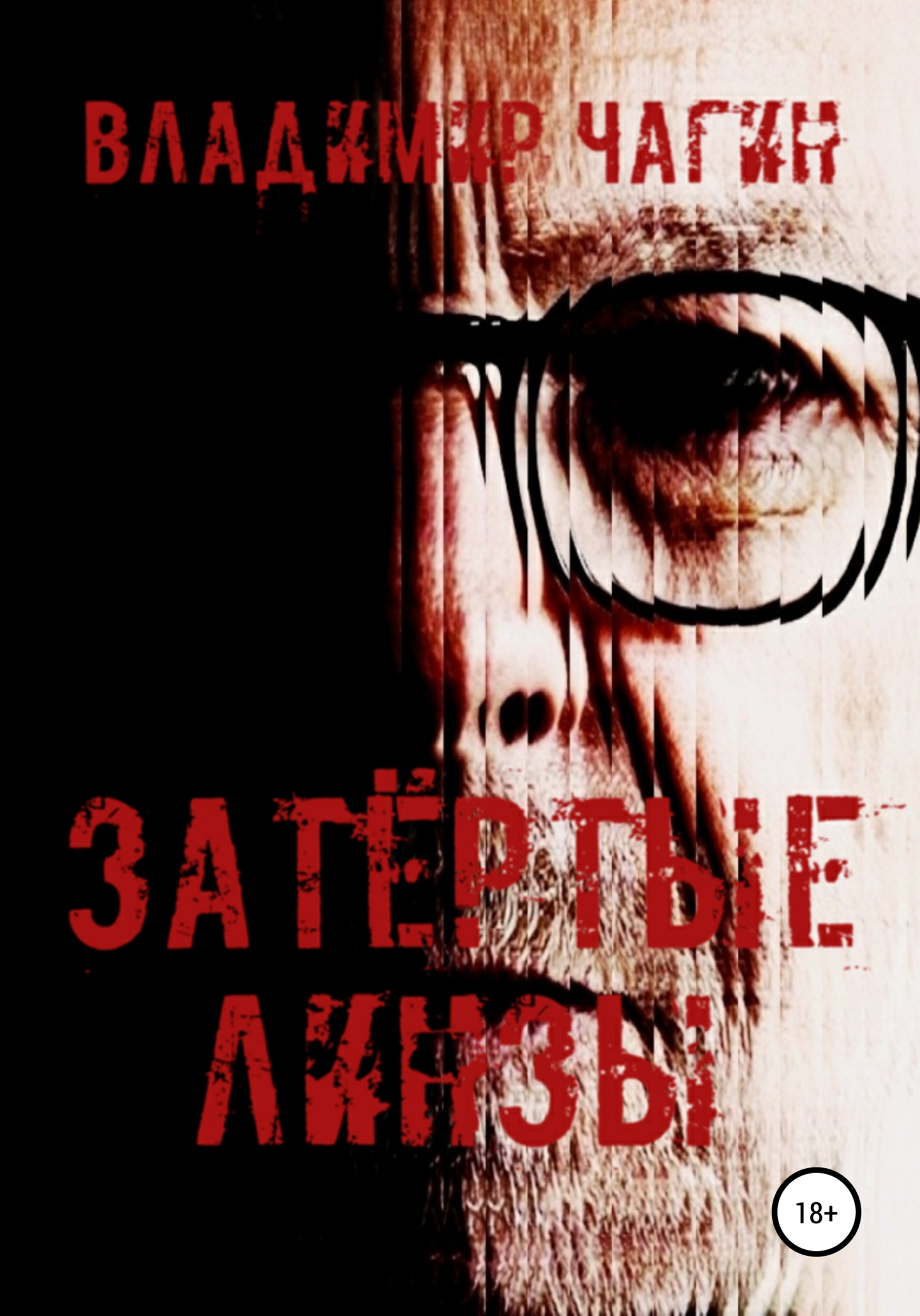 Затёртые линзы (fb2)