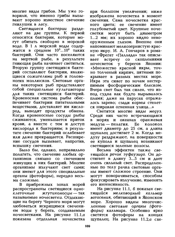 КулЛиб. Лев Васильевич Тарасов - Физика в природе. Страница № 169