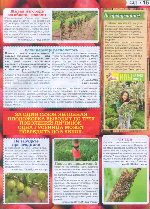 КулЛиб.   журнал Сваты на даче - Сваты на даче 2015 №7(07). Страница № 15