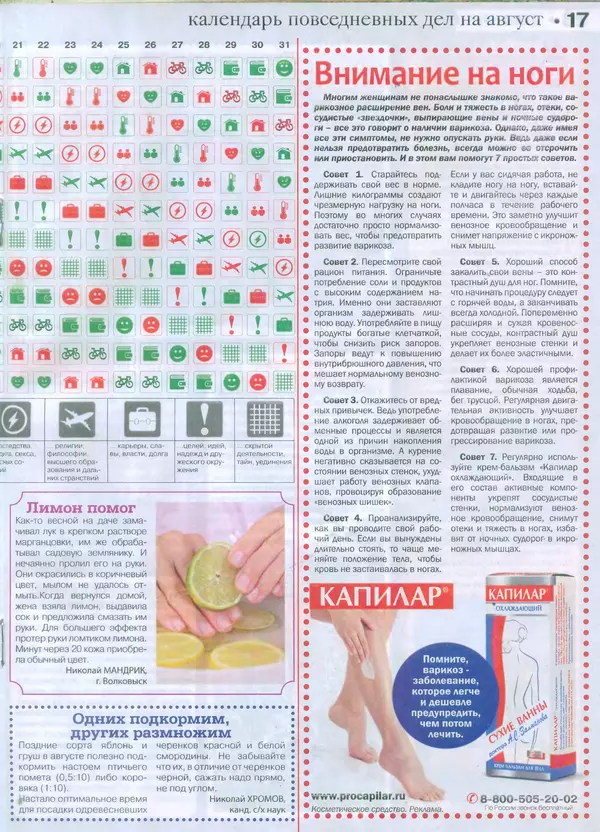 КулЛиб.   журнал Сваты на даче - Сваты на даче 2015 №7(07). Страница № 17