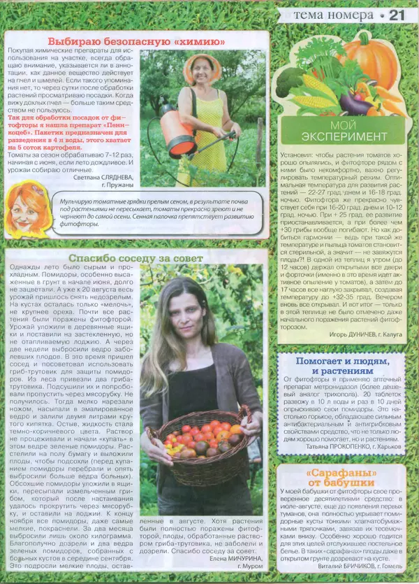 КулЛиб.   журнал Сваты на даче - Сваты на даче 2015 №7(07). Страница № 21