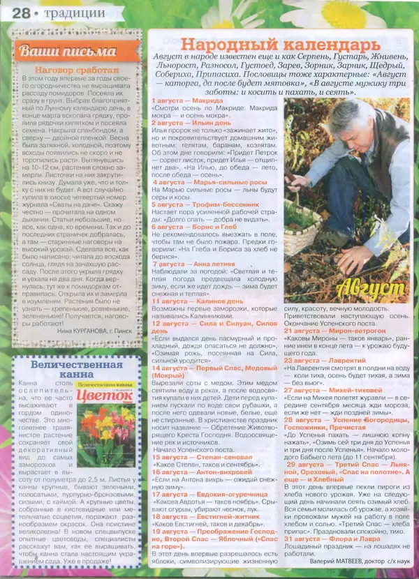 КулЛиб.   журнал Сваты на даче - Сваты на даче 2015 №7(07). Страница № 28