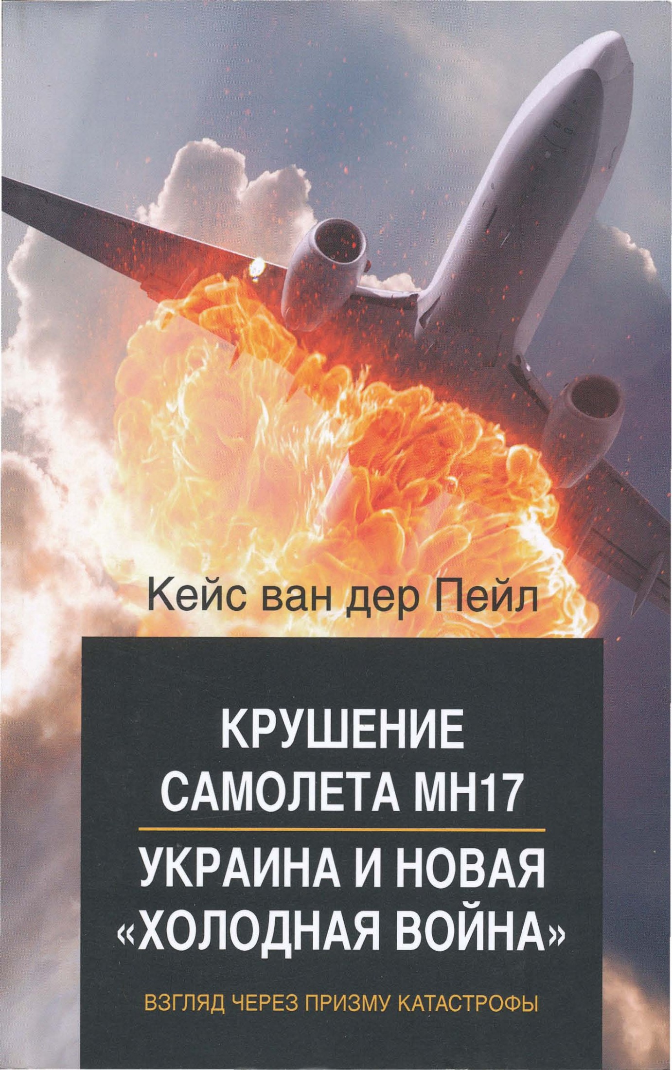 Крушение самолета MH17. Украина и новая холодная война (fb2)
