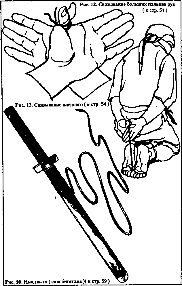 Тень ниндзя. Виктор Попенко. Иллюстрация 10