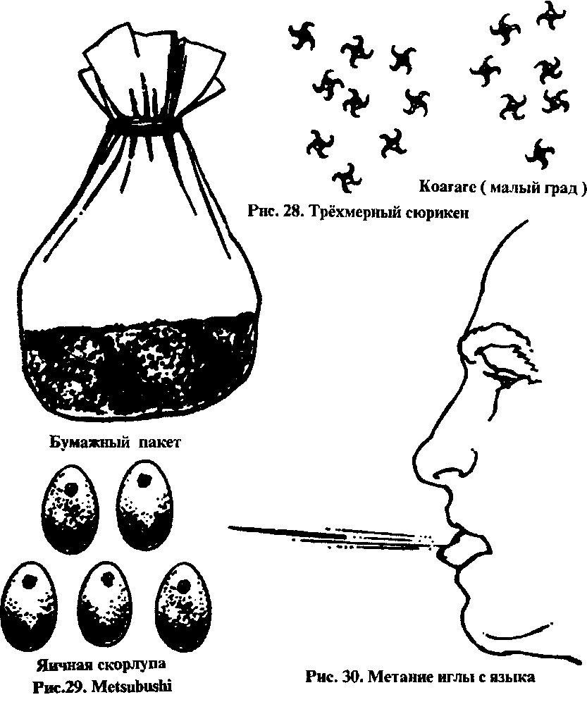Тень ниндзя. Виктор Попенко. Иллюстрация 17
