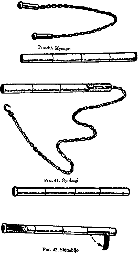 Тень ниндзя. Виктор Попенко. Иллюстрация 21