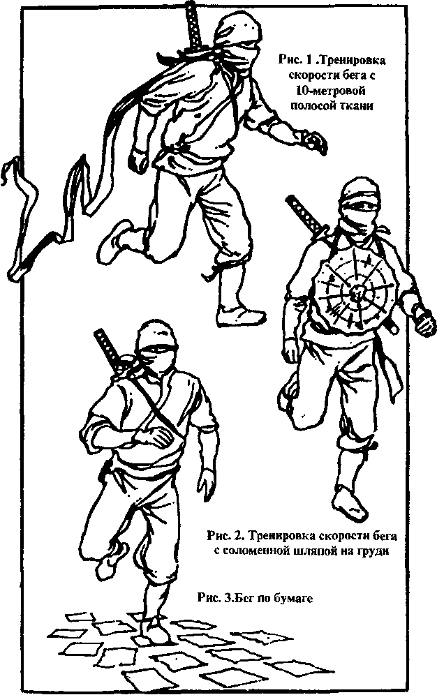 Тень ниндзя. Виктор Попенко. Иллюстрация 2