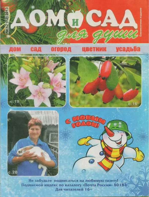 КулЛиб.   журнал Дом и сад для души - Дом и сад для души 2013 №12(72). Страница № 1