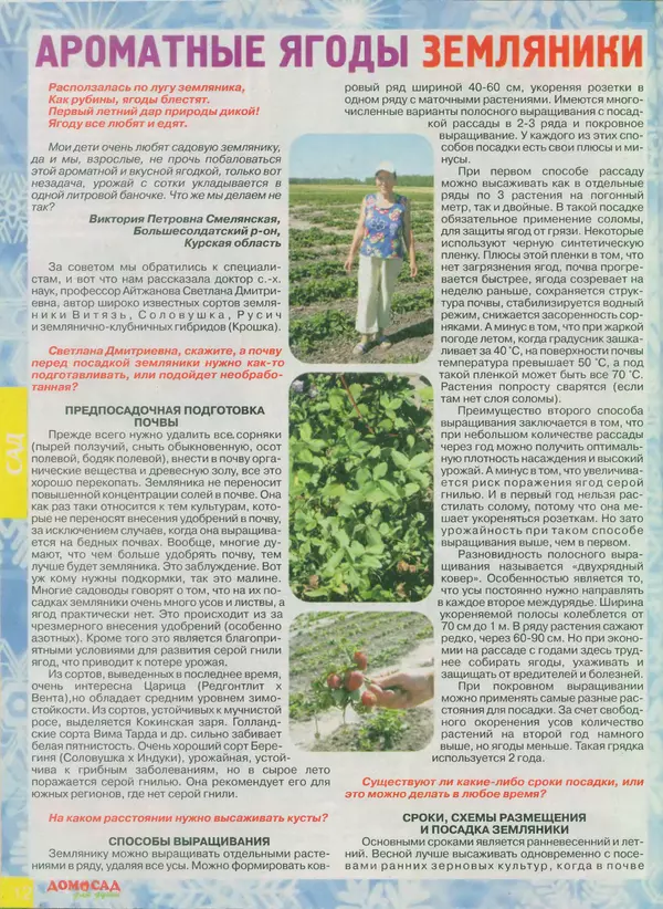 КулЛиб.   журнал Дом и сад для души - Дом и сад для души 2013 №12(72). Страница № 12