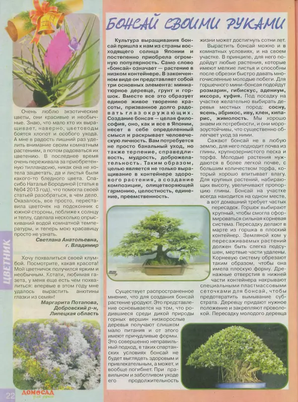 КулЛиб.   журнал Дом и сад для души - Дом и сад для души 2013 №12(72). Страница № 22